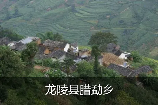 龙陵县腊勐乡