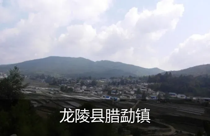龙陵县腊勐镇