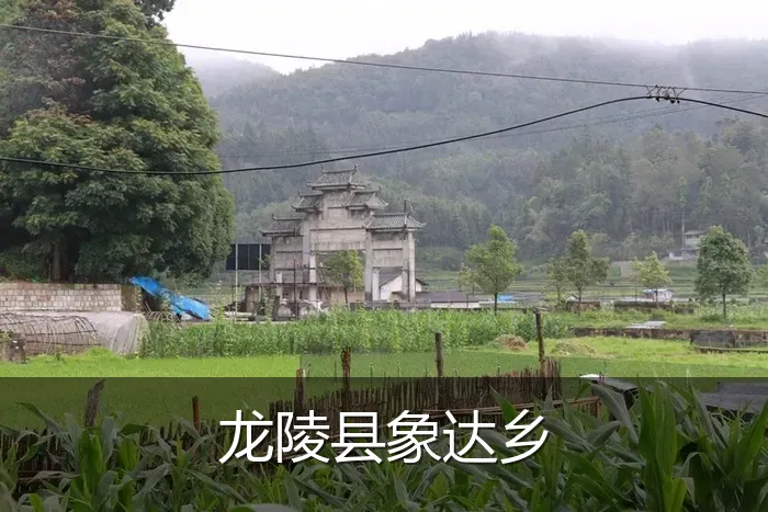 龙陵县象达乡