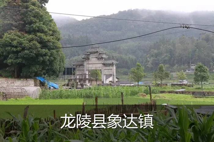 龙陵县象达镇